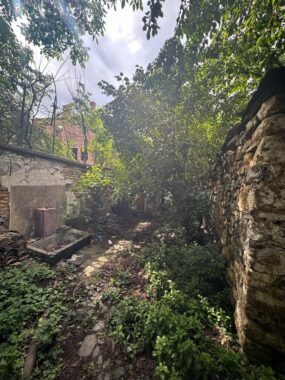 a52aae37-e433-4965-8ee0-e777b1ef35f8