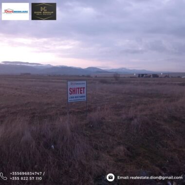 49fad024-6b33-4e0d-ab94-a3cda50e8d60