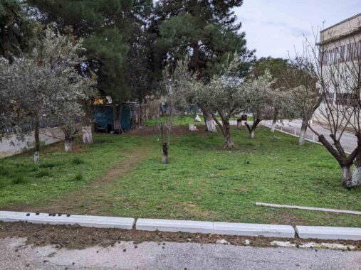 51a54a04-59f3-4ac3-971d-9ec95187116a