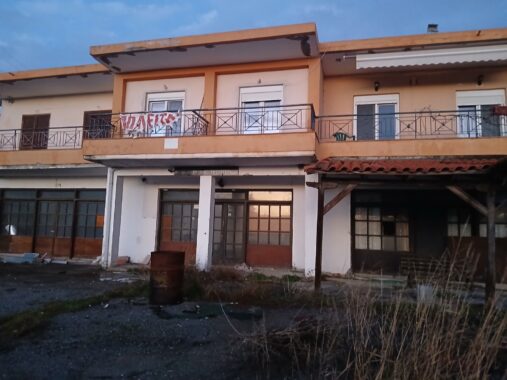 viber_image_2026-01-16_17-40-55-010