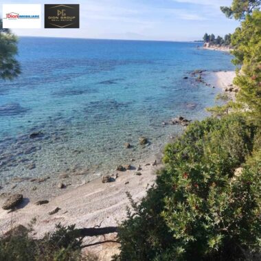 3e396299-02f1-4a88-bcee-ff8d731e1704