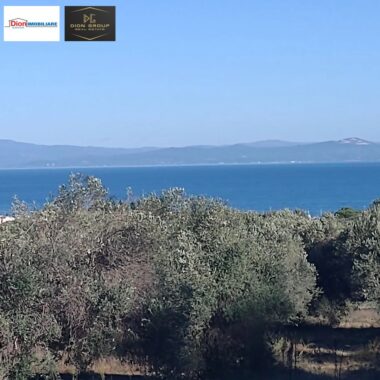 56b6f9c4-a68c-4aa3-a181-09c680c3934d