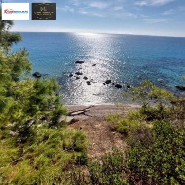 5bd53ac4-efcb-43cc-bf5c-43e207679bfa