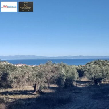 72c13588-33e6-4dc7-a931-6b6d42bec9b3