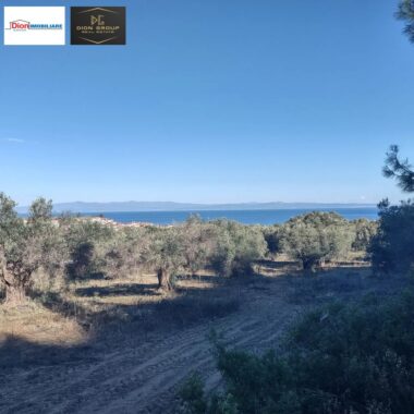 833e4430-a549-4c3a-ba54-a88ceb1a0f1d