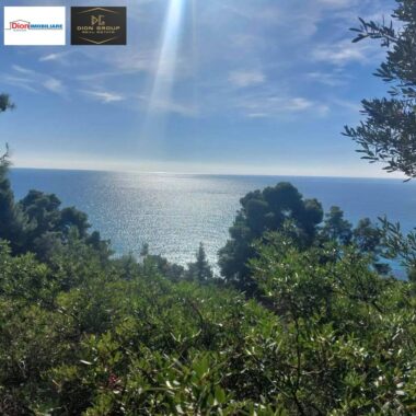 856a43f0-985a-4045-a33a-04221a7110ab