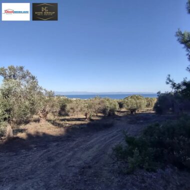 a2962db6-4346-4368-8d8e-4f0a3cc509fe