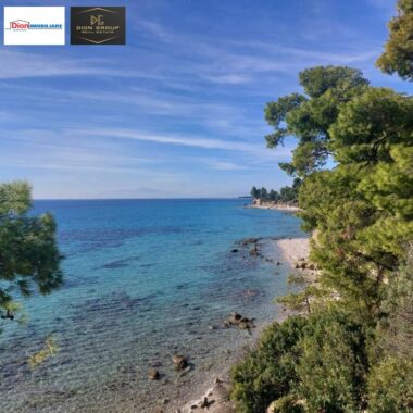 a546cefc-bed6-4563-a008-f82a143423d8