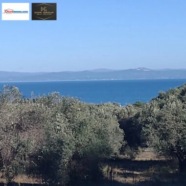 ab775ab5-9d2d-4e49-bc40-954277e61d6f