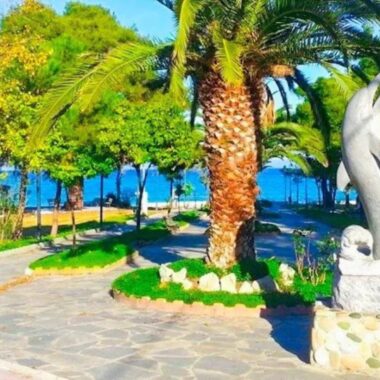 ccc48de1-158a-4859-9012-8ea216583a91