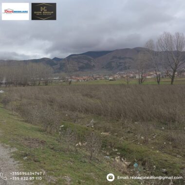 e0e20667-8532-41fa-8211-59f0ac93097c