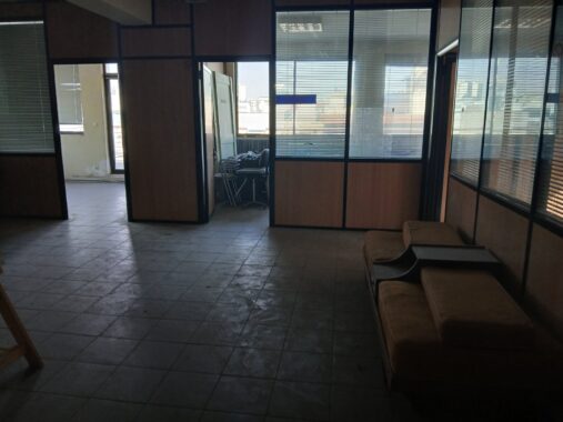 viber_image_2026-02-19_17-15-55-729