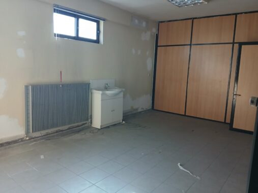 viber_image_2026-02-19_17-15-56-655