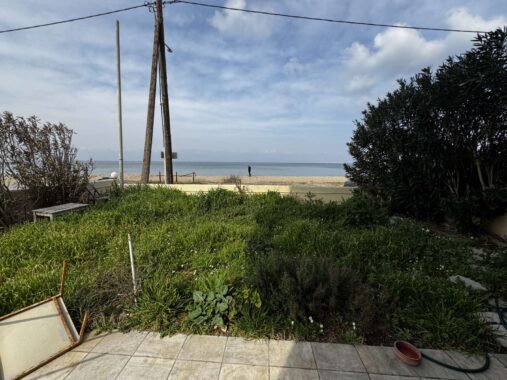 viber_image_2026-03-09_16-16-04-224