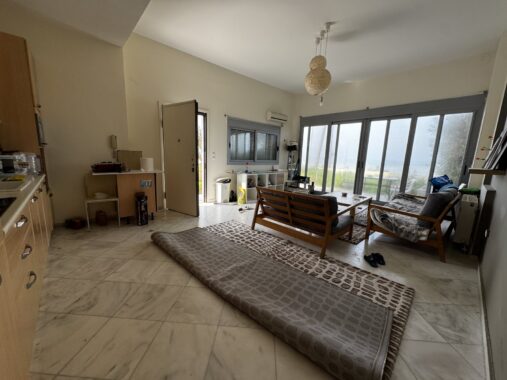 viber_image_2026-03-09_16-16-04-672